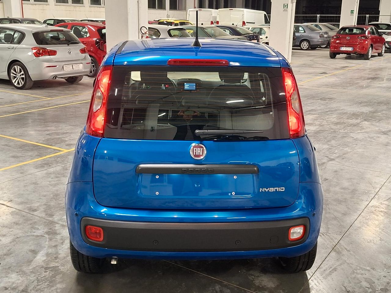 Fiat Panda 1.0 FireFly Hybrid 70CV Icon Km.0 (756)