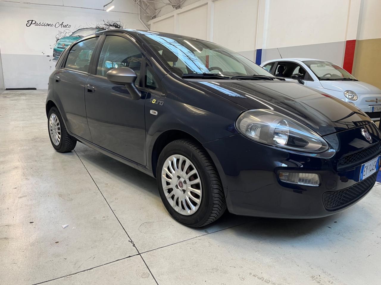 Fiat Punto 1.4 8v 5 porte GPL Young