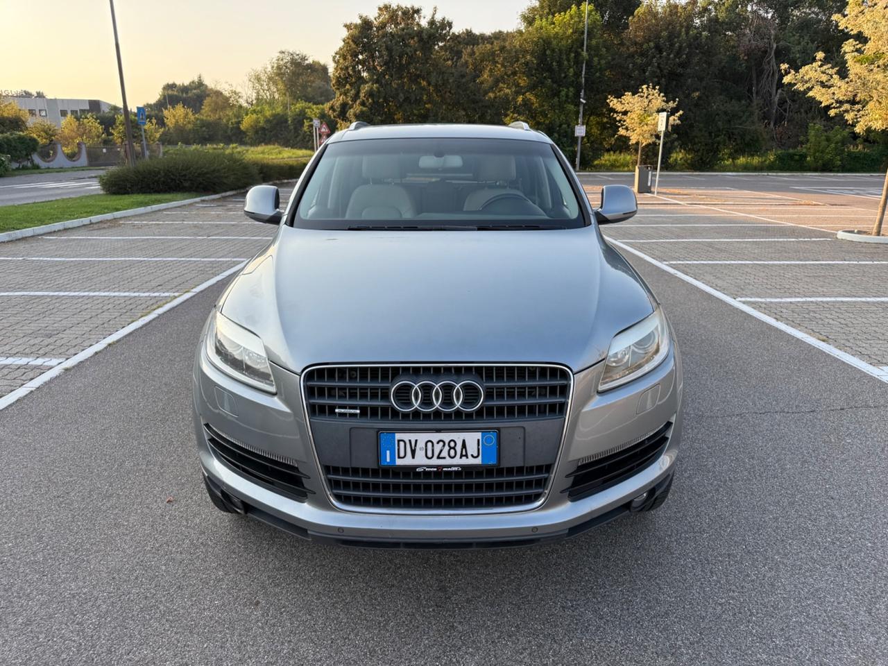 Audi Q7 3.0 V6 TDI 240 CV quattro tiptronic Advanced*Navi*Xenon*Pelle