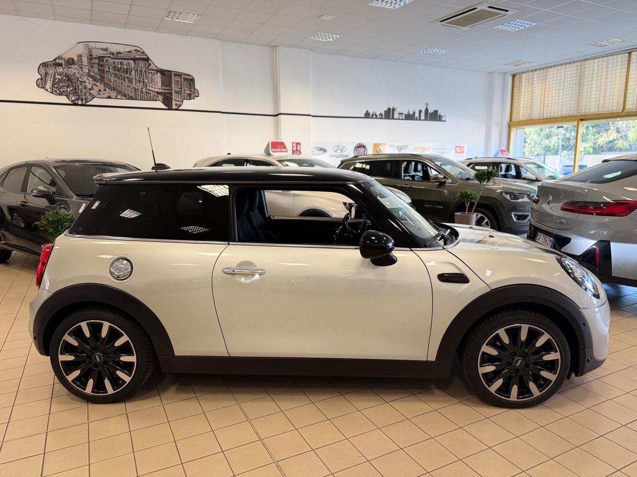 Mini 2.0 Cooper S Delaney Edition
