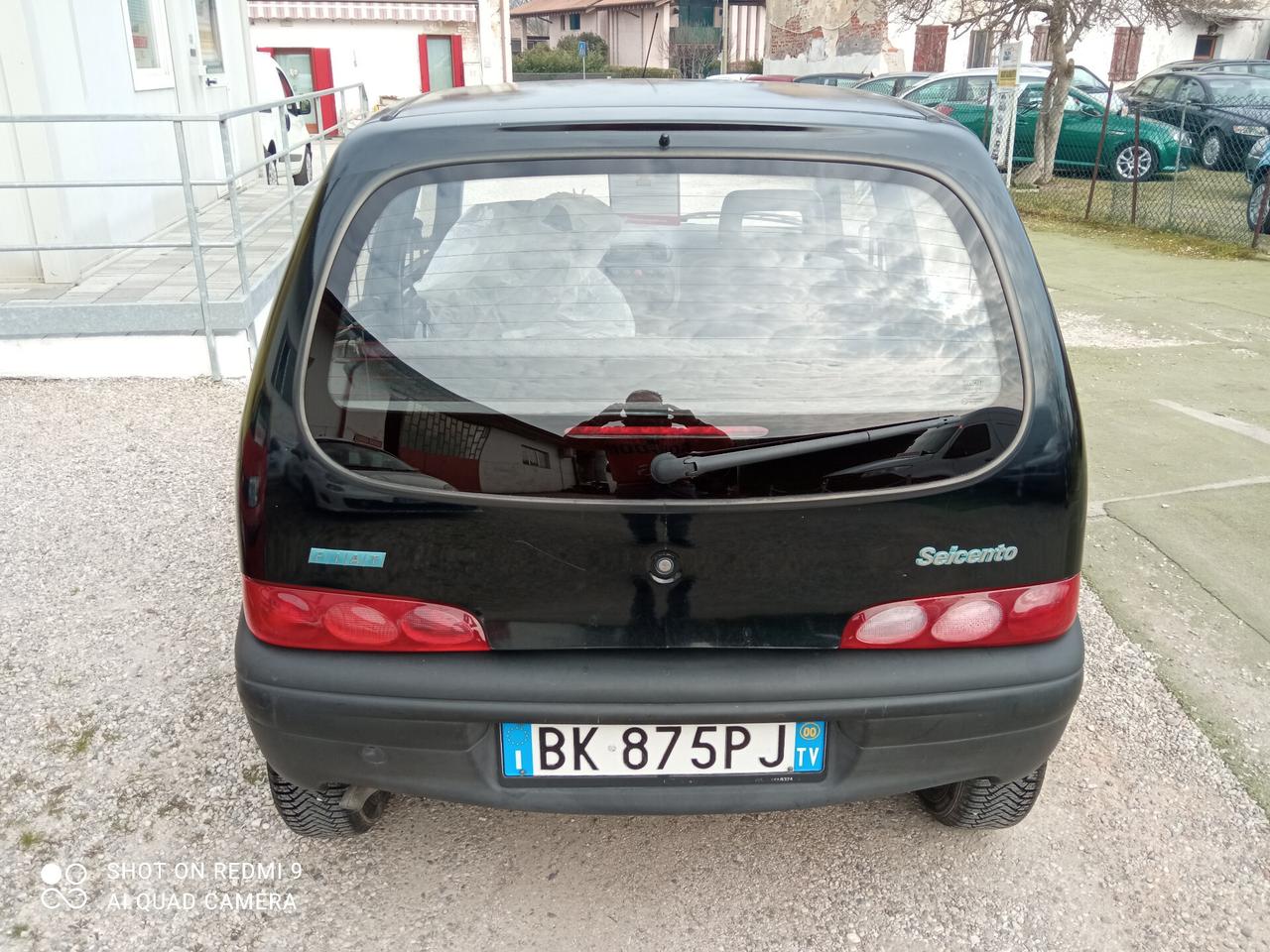 Fiat Seicento 900i cat Young