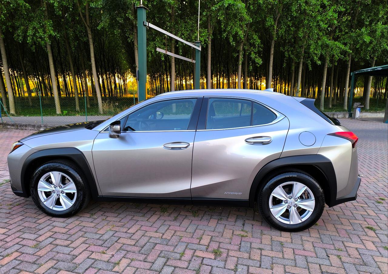 Lexus UX Hybrid Business