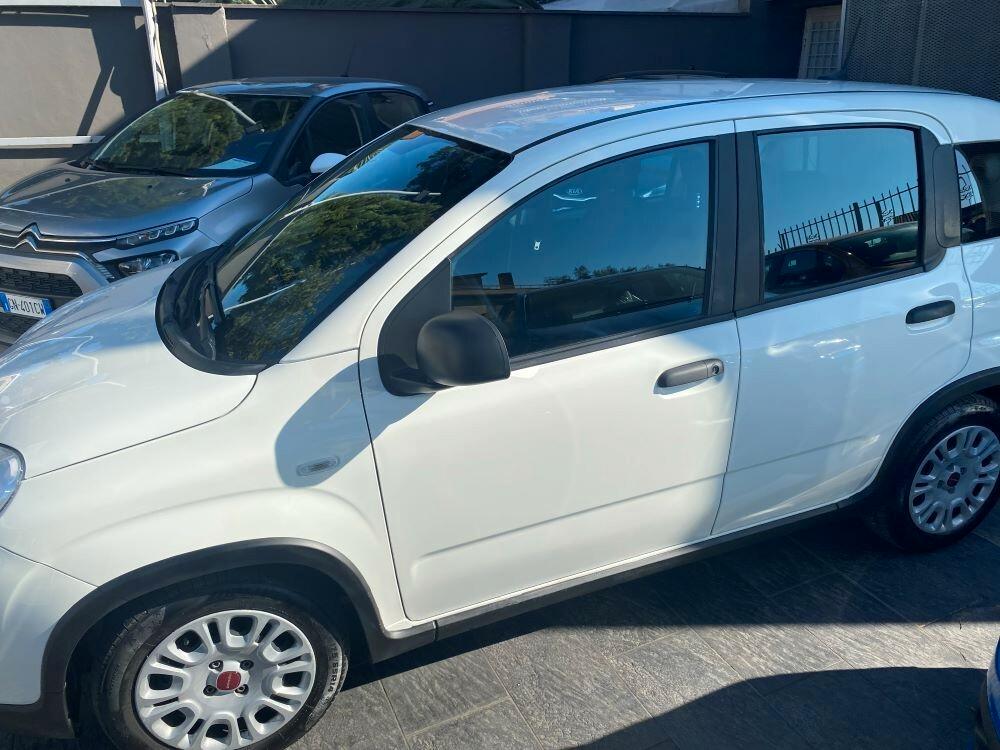 Fiat Panda 1.0 FireFly S&S Hybrid