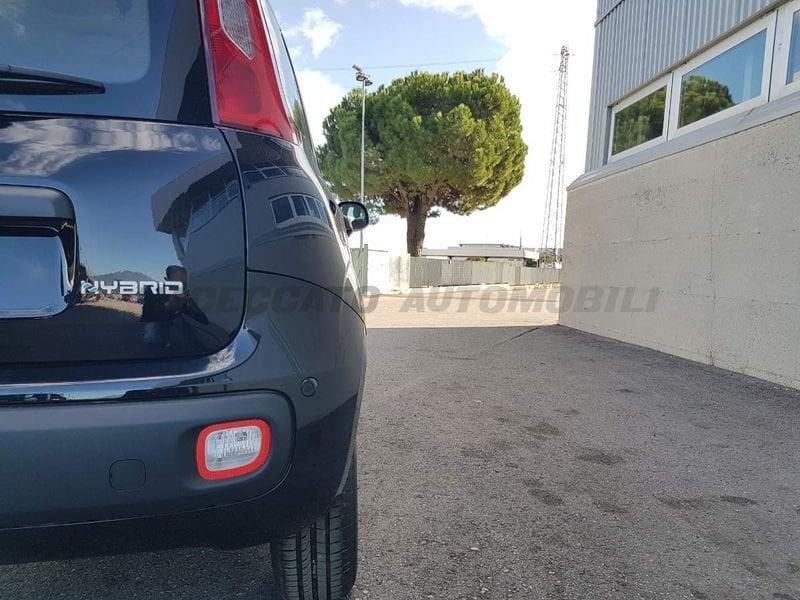 FIAT Panda Panda 1.0 70cv Hybrid Icon