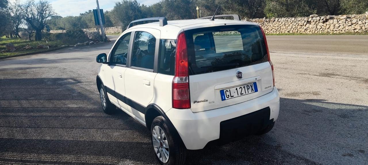 Fiat Panda 1.2 4x4