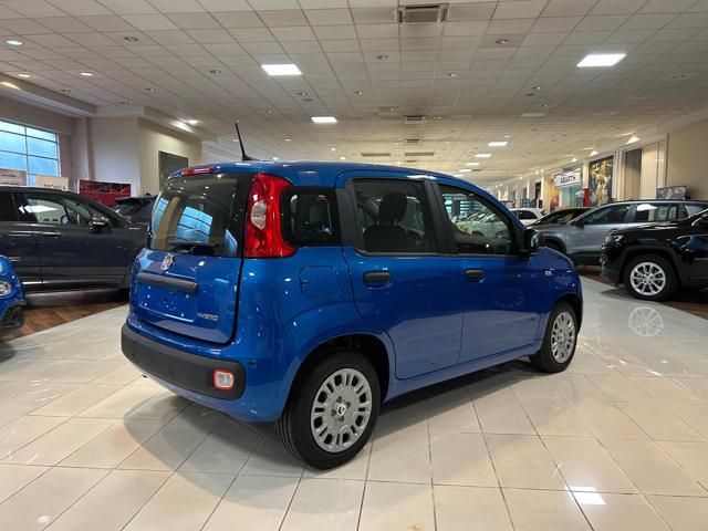 FIAT Panda 1.0 FireFly S&S Hybrid Pandina