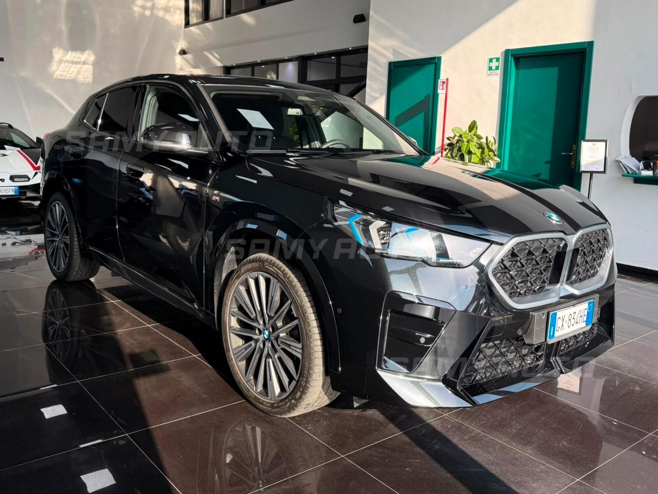 Bmw X2 sDrive 20i Msport Pro
