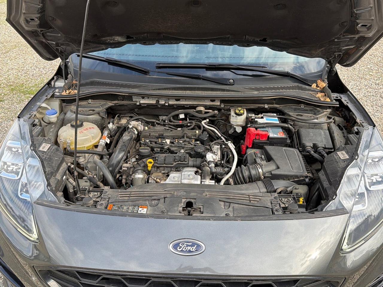 Ford Kuga 1.5 ecoblue st-line x 2wd 120cv auto