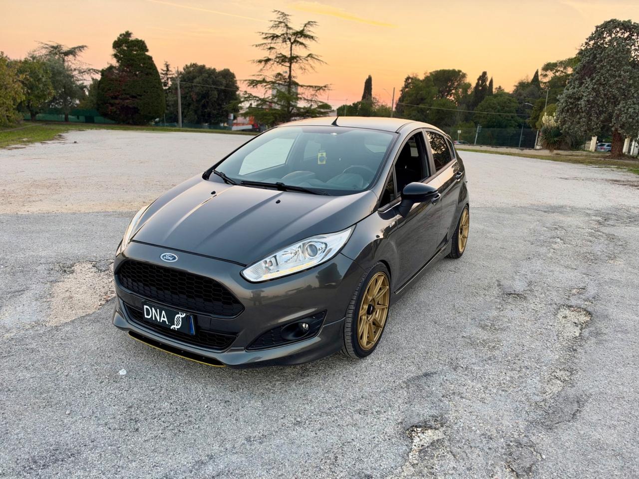Ford Fiesta ST-Line 1.5 TDCi Euro6B Neopatentati