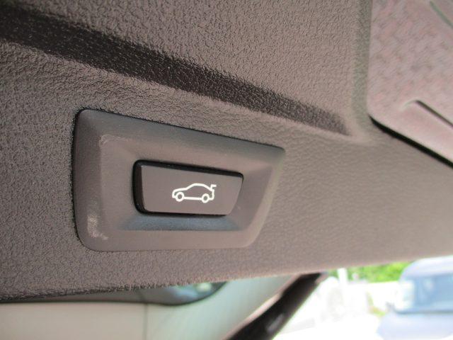 BMW X5 xDrive25d Luxury Navi/Frenata