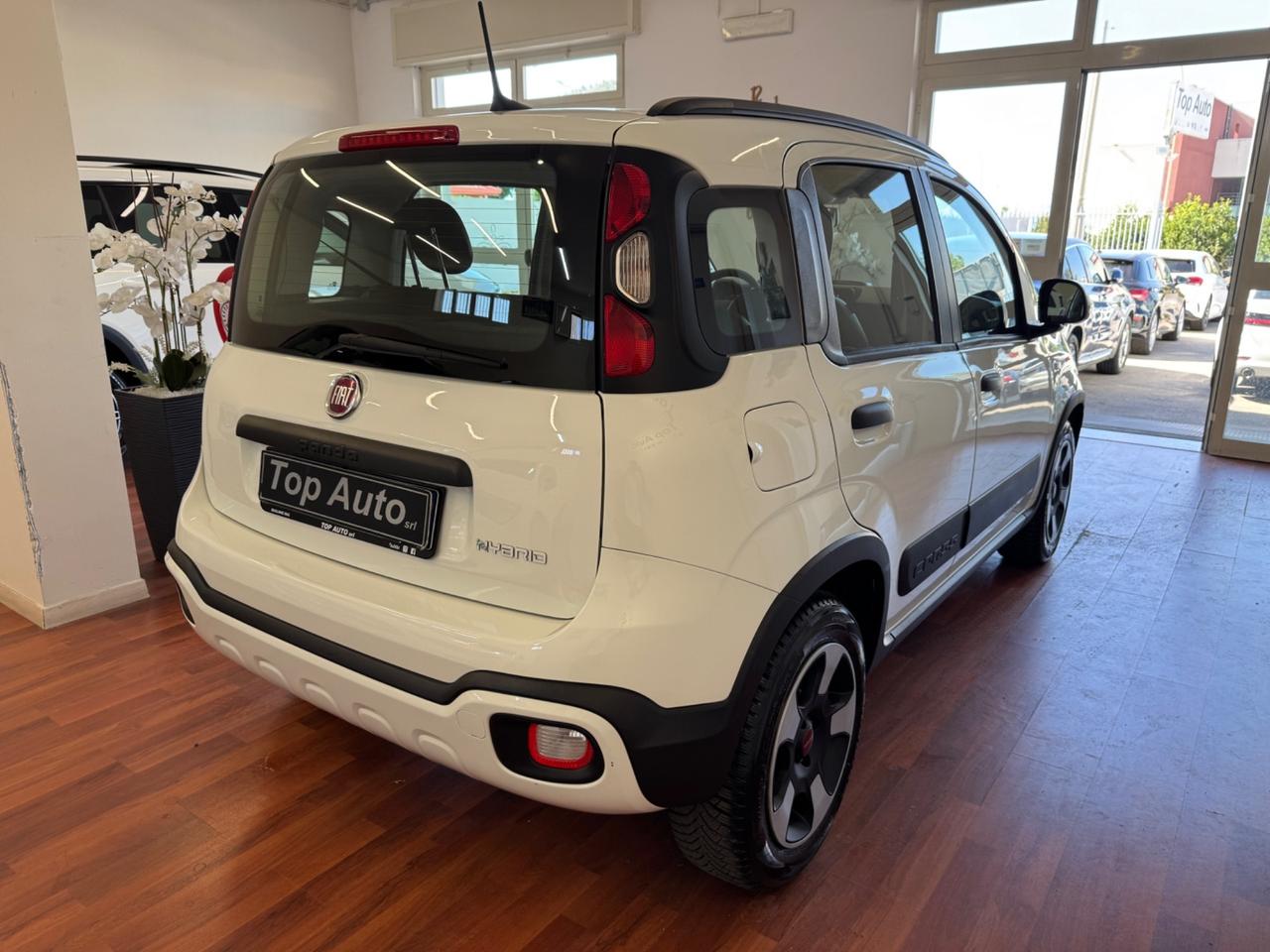 FIAT PANDA 1.0 FireFly S&S HYBRID CITY CROSS