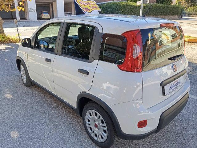 FIAT Panda 1.0 FireFly S&S Hybrid KM 0 OK NEOPATENTATI