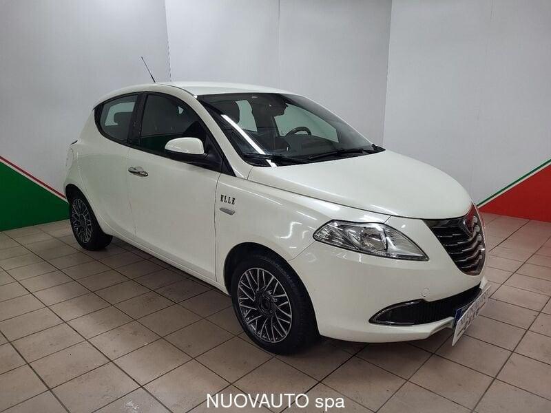 Lancia Ypsilon Ypsilon 1.2 69 CV 5 porte Elle