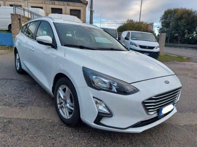FORD Focus 1.5 EcoBlue 120 CV SW Business N1