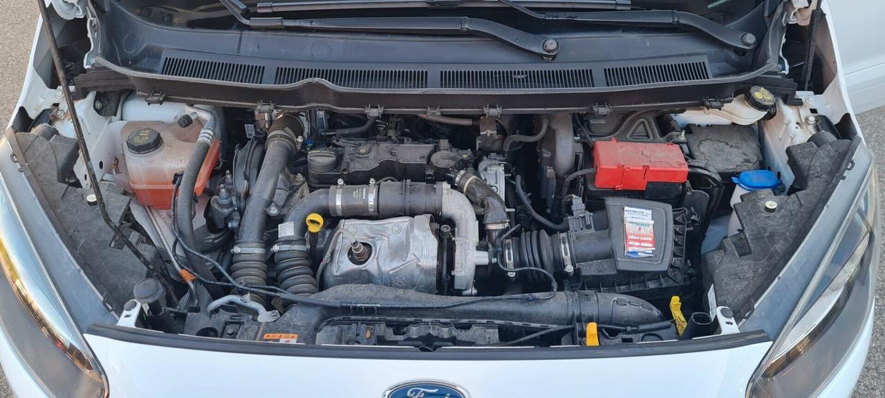 Ford Tourneo Courier 1.5 TDCI 75 CV Plus Km 42000