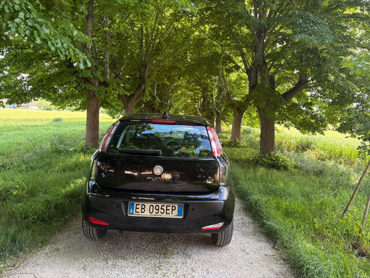 Fiat Punto Evo 1.4 5 porte Natural Power