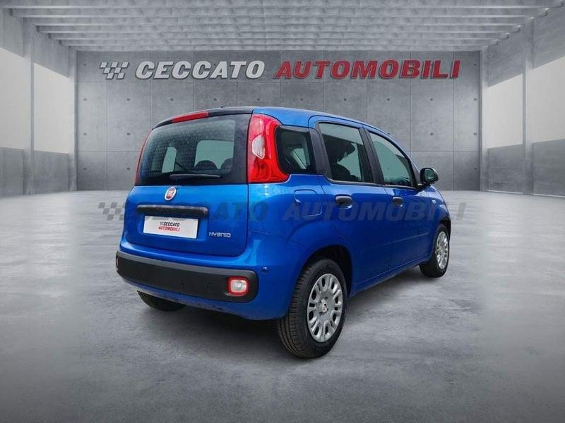 FIAT Panda Panda 1.0 firefly hybrid s&s 70cv