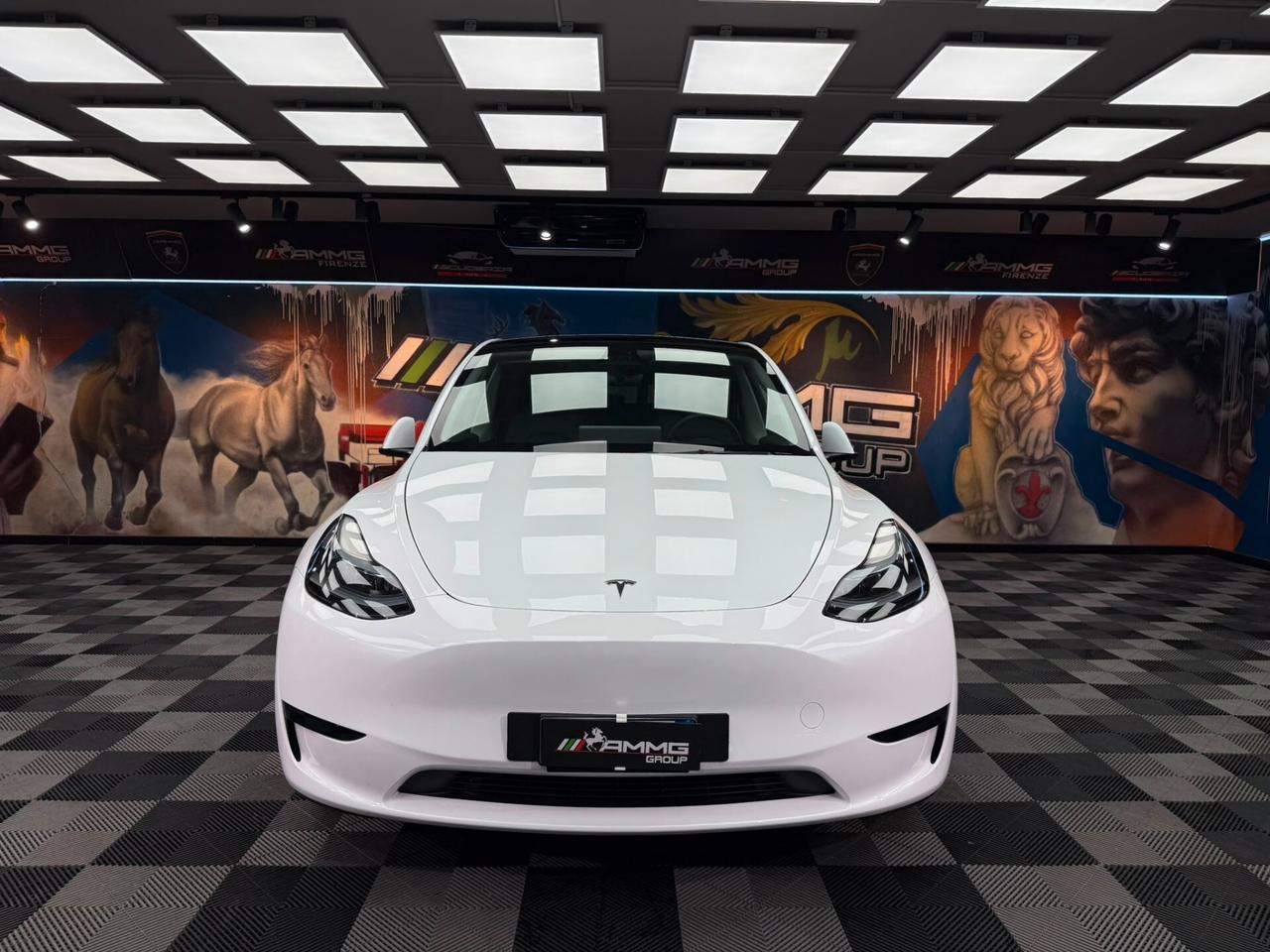 Tesla Model Y RWD (050)