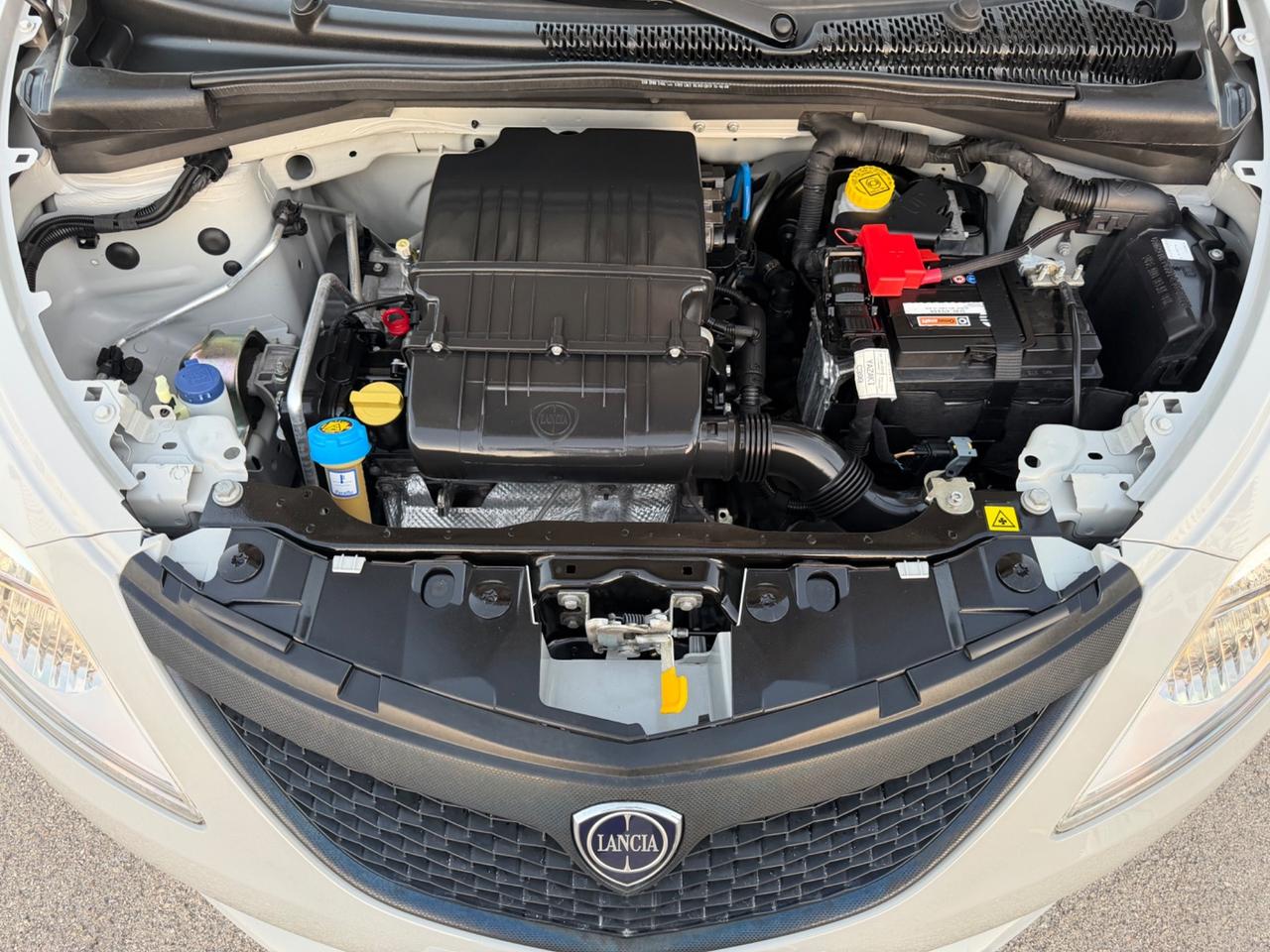 LANCIA YPSILON 1.2 5P 69CV ELEFANTINO BLU MY18