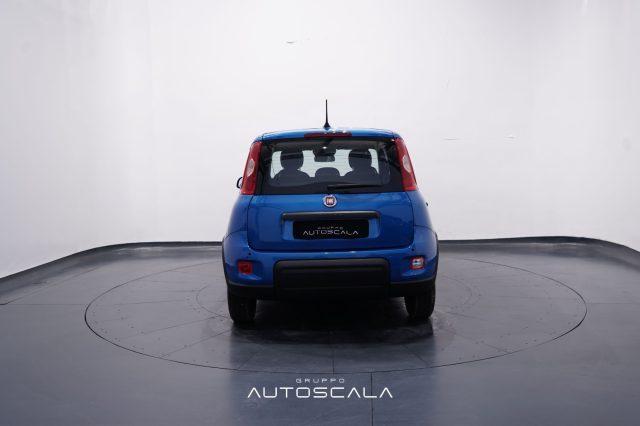 FIAT New Panda My25 1.0 FireFly S&S Hybrid #Pack City #5posto