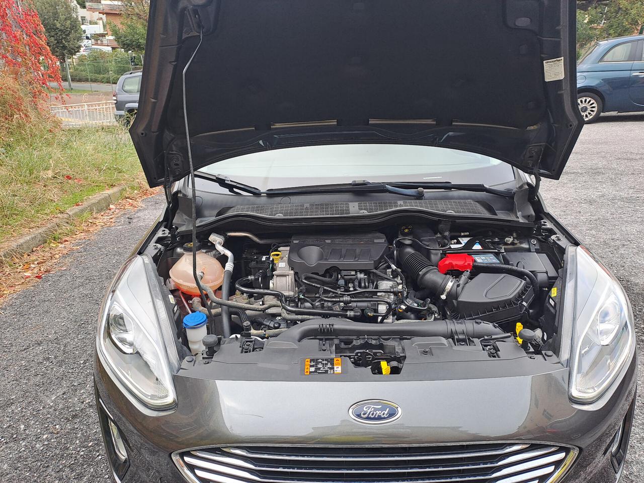 Ford Fiesta 1.0 Ecoboost Hybrid 125 CV 5 porte Titanium