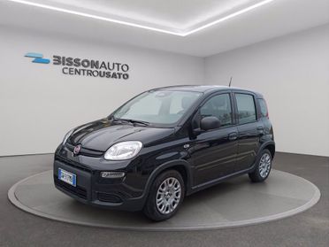 FIAT Panda 1.0 firefly hybrid s&s 70cv del 2024