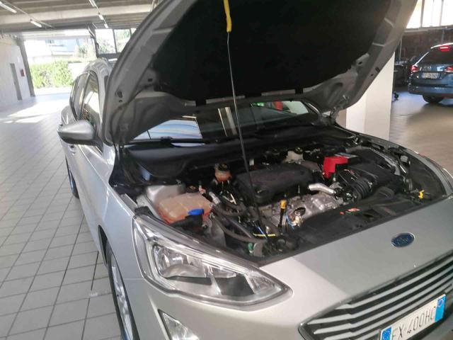 FORD Focus 1.5 EcoBlue 120 CV SW Business