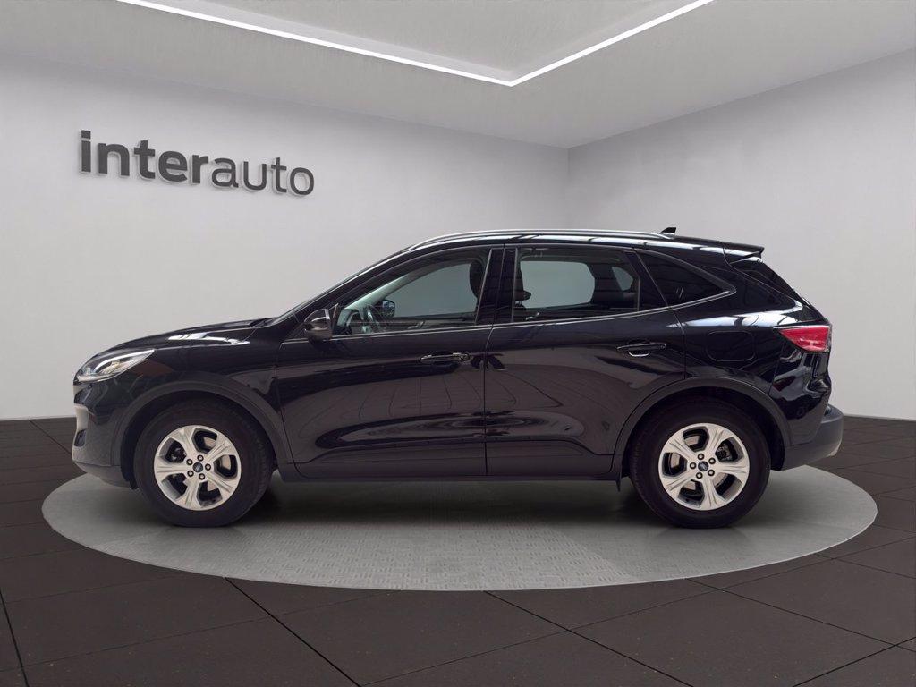 FORD Kuga 1.5 EcoBlue 120 CV 2WD Connect del 2021