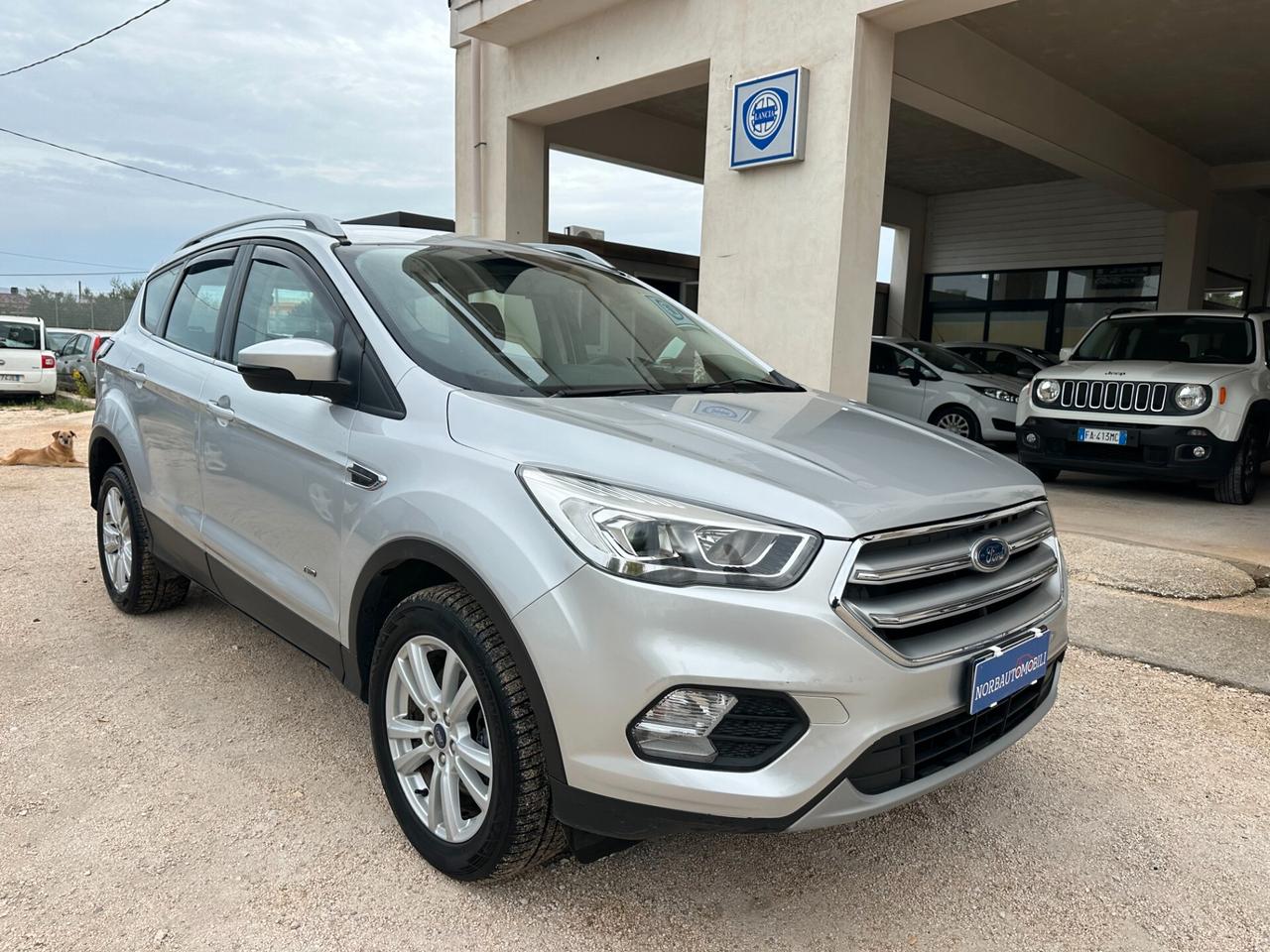 Ford Kuga 2.0 TDCI 150cv AWD Titanium 2018 Stupenda