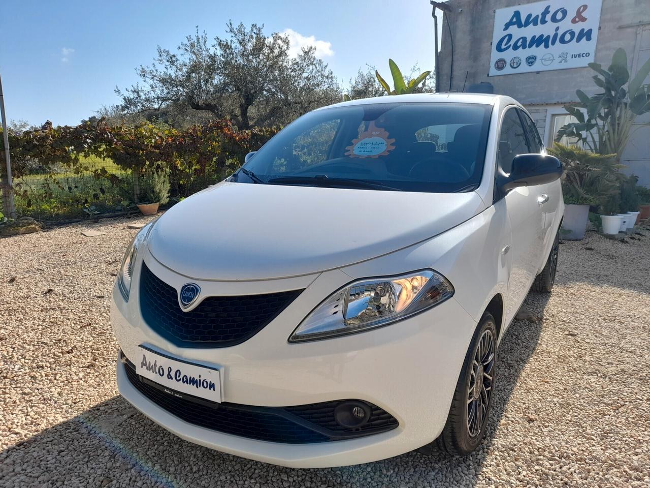 Lancia Ypsilon 1.2 69 CV Gold 2019 neopatentati ok