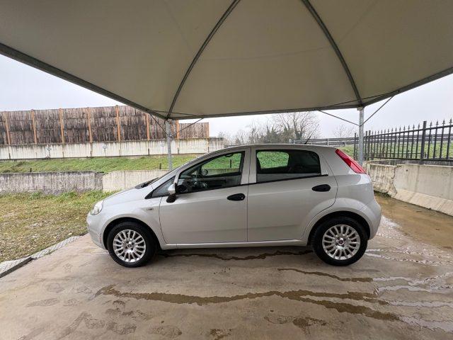 FIAT Punto 1.2 8V 5 porte Street POCHI CHILOMETRI EURO 6