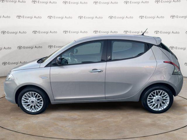 LANCIA Ypsilon 1.2 69 CV 5 porte Platinum