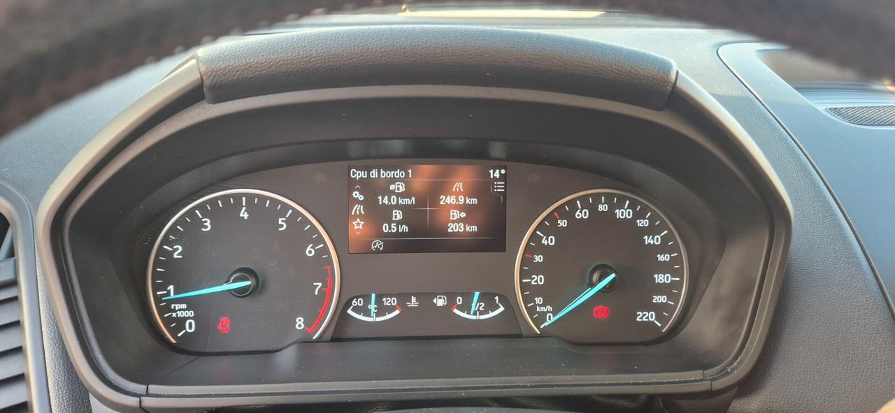 Ford EcoSport 1.0 EcoBoost 100 CV Business