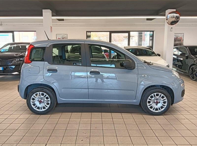 FIAT Panda 3ª serie Panda 1.2 Easy