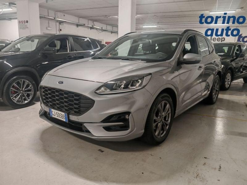 Ford Kuga Kuga 1.5 EcoBlue 120 CV 2WD ST-Line