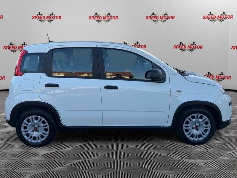 FIAT Panda 1.0 FireFly 70cv Hybrid, 5 POSTI, SENSORI PARCHEGGIO!