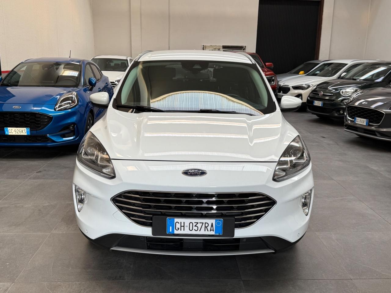 Ford Kuga 1.5 EcoBlue 120 CV aut. 2WD Titanium Business