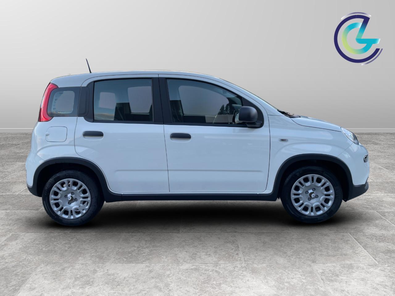 FIAT Panda III 2024 - Panda 1.0 firefly hybrid s&s 70cv