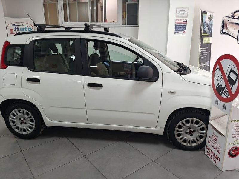 FIAT Panda Panda 1.2 EasyPower Easy GPL DI SERIE