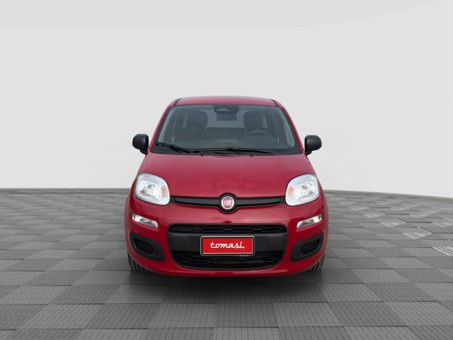 FIAT Panda Pandina 1.0 FireFly 65 CV Hybrid Pop