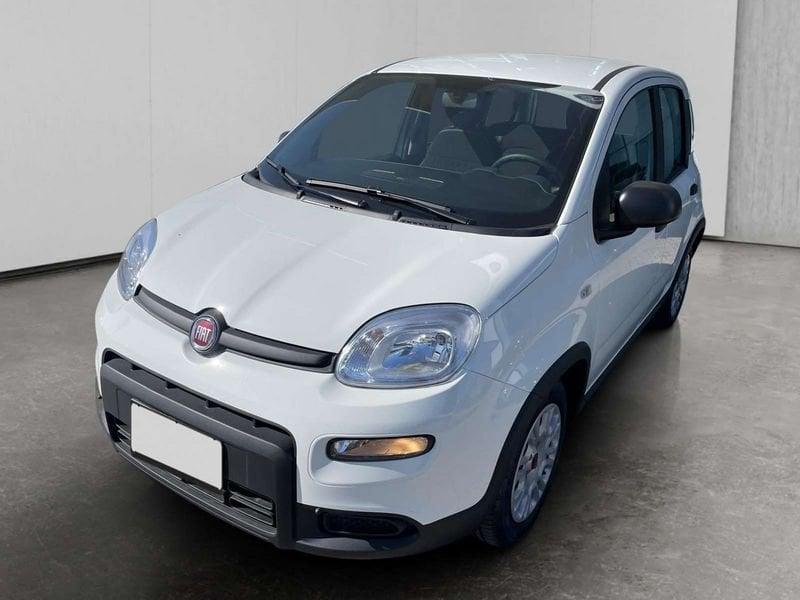 FIAT Panda 1.0 firefly hybrid s&s 70cv