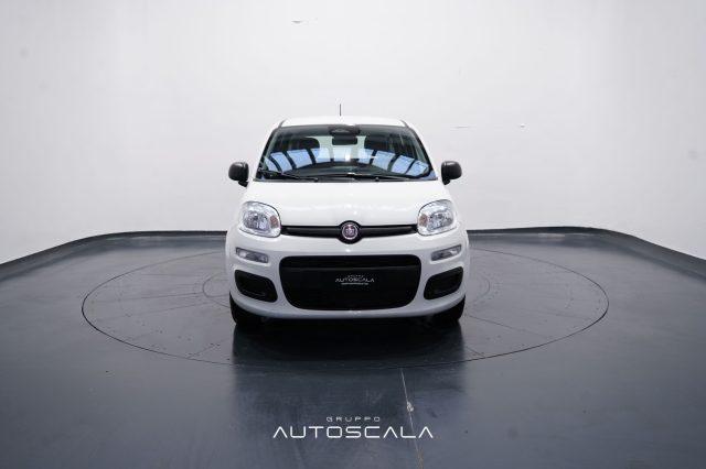 FIAT New Panda My25 1.0 FireFly S&S Hybrid