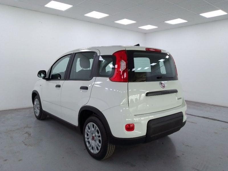 FIAT Panda 1.0 firefly hybrid s&s 70cv