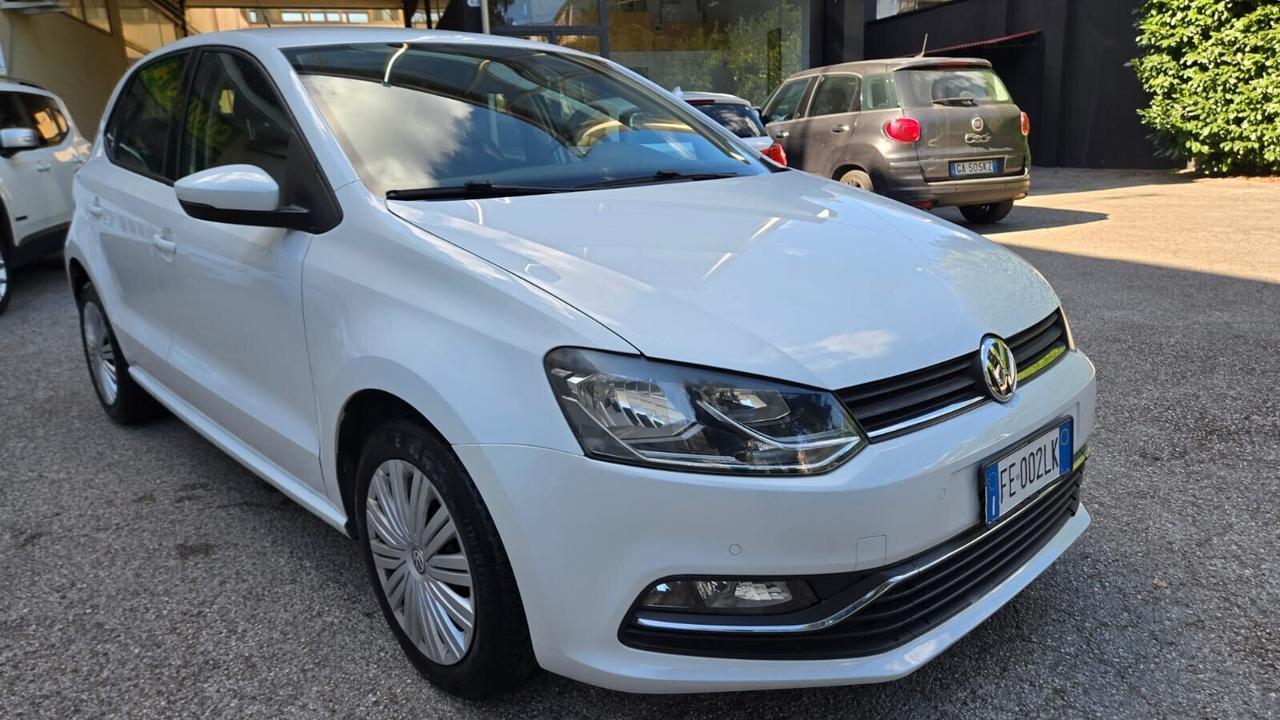 Volkswagen Polo 1.4 TDI 90 CV 5p. Business BlueMot