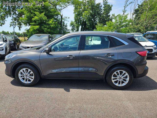 FORD Kuga 2.0 EcoBlue MHEV 150CV 2WD Titanium TG : GG252WT