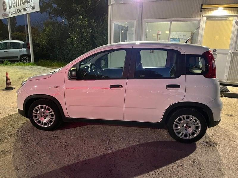 FIAT Panda Panda 1.0 FireFly S&S Hybrid