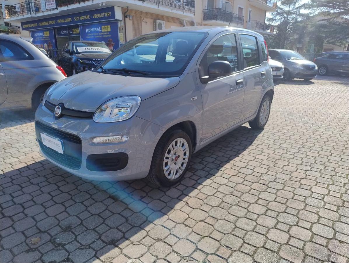 FIAT - Panda - 1.2 Easy