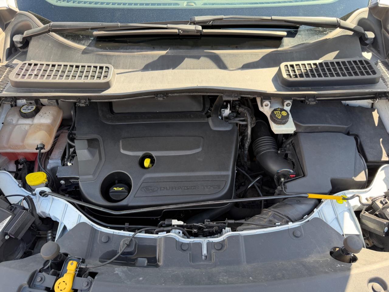 Ford Kuga 2.0 TDCI 163 CV 4WD Powershift Titanium