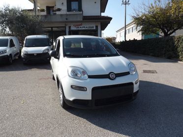 Fiat Panda 1.0 FireFly S&S Hybrid City Cross