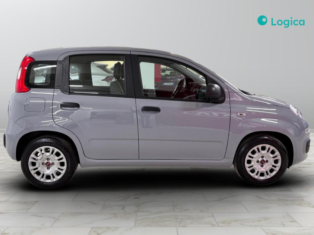 FIAT Panda III 2021 - Panda 1.0 firefly hybrid s&s 70cv